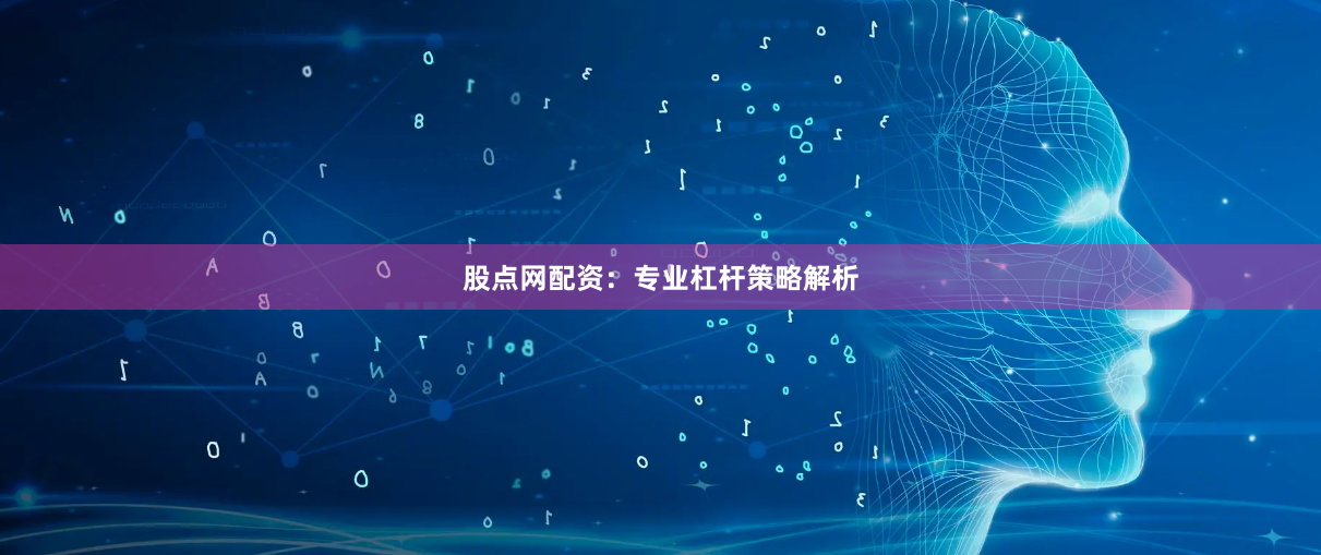 股点网配资：专业杠杆策略解析