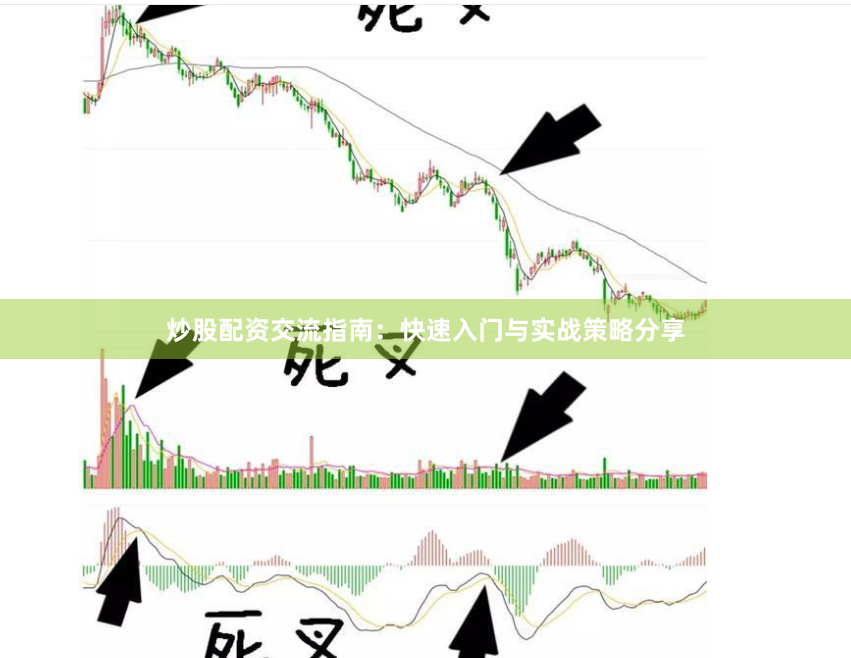 炒股配资交流指南：快速入门与实战策略分享